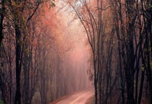 开云：三笘薰：现在的日本队进世界杯是理所当然的，世预赛也有困难.