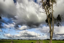 [天下足球]大胜奥格斯堡 多特蒙德重登德甲榜首.