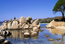 沙特本届18强赛前8场只打进4球，其中3球来自对阵国足.